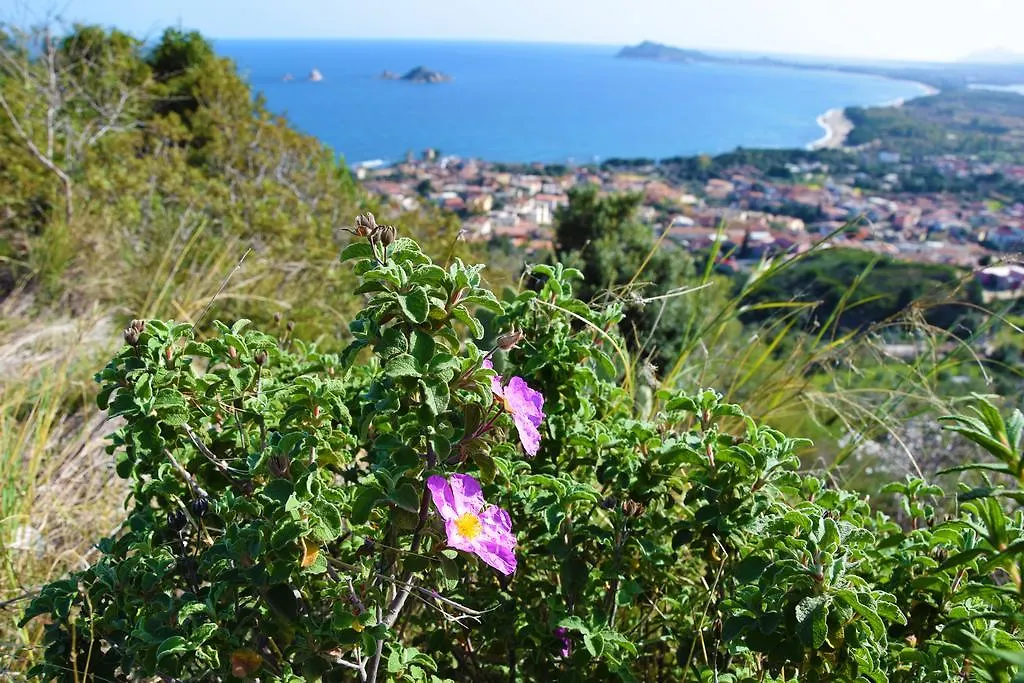 Appartamenti Da Vincenza Santa Maria Navarrese 0*,  Italia