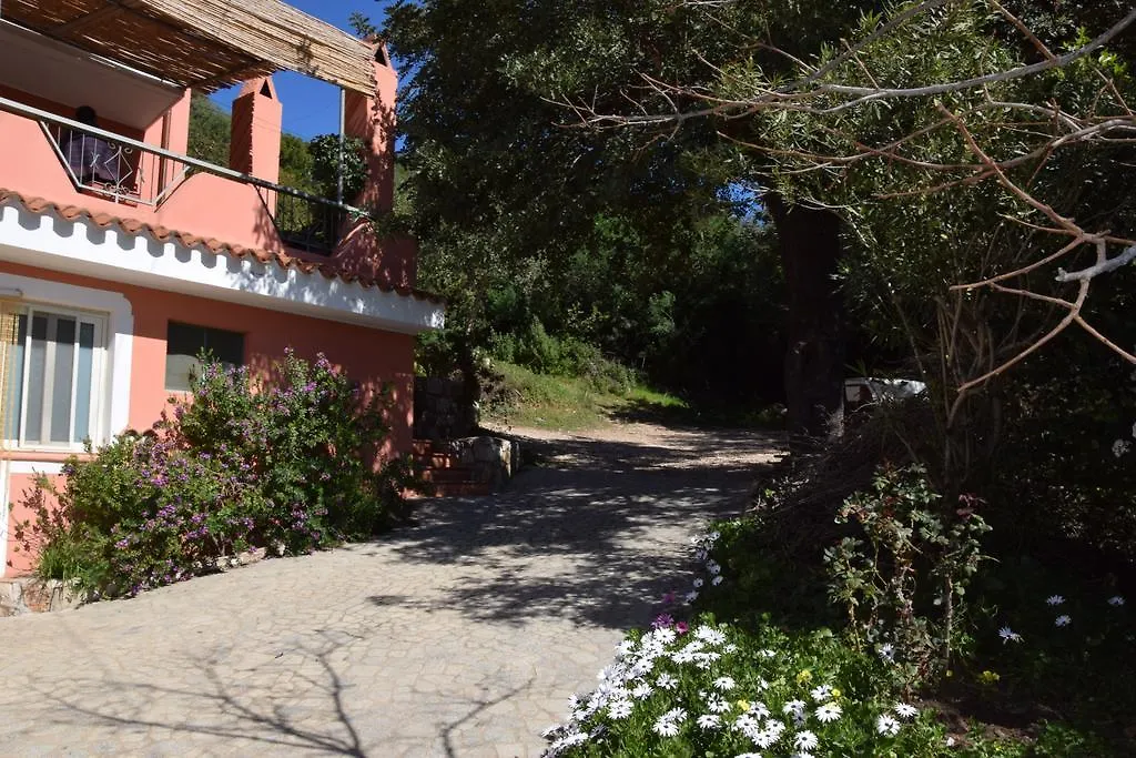 Apartment Appartamenti Da Vincenza Santa Maria Navarrese Italy